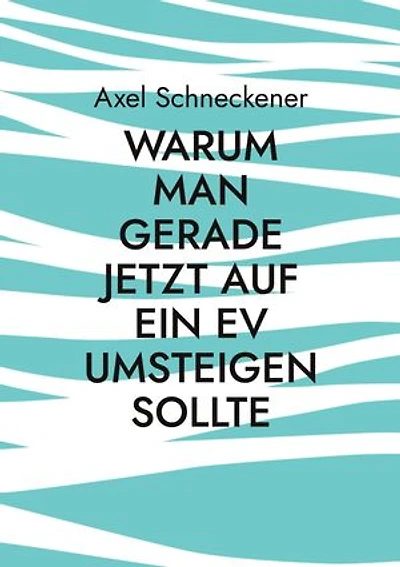 Warum man gerade jetzt auf ein EV umsteigen sollte