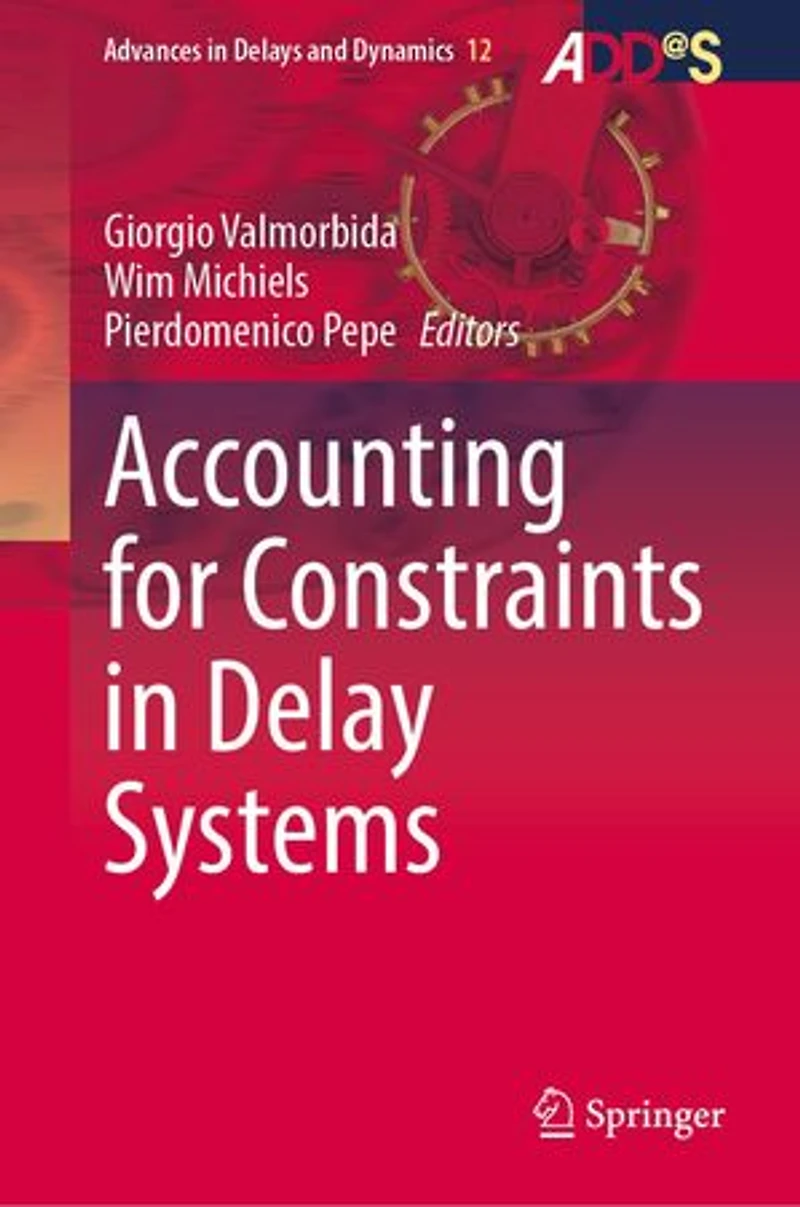 Accounting for Constraints Delay Systems