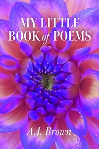 My Little Book of Poems