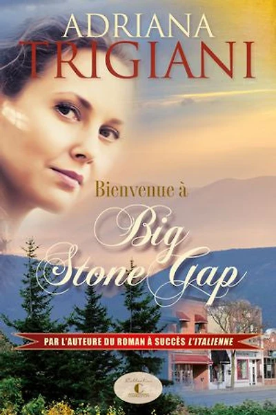 Bienvenue à Big Stone Gap