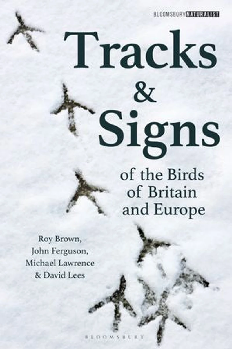 Tracks And Signs Of The Birds Britain Europe