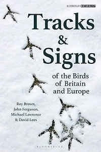 Tracks And Signs Of The Birds Britain Europe