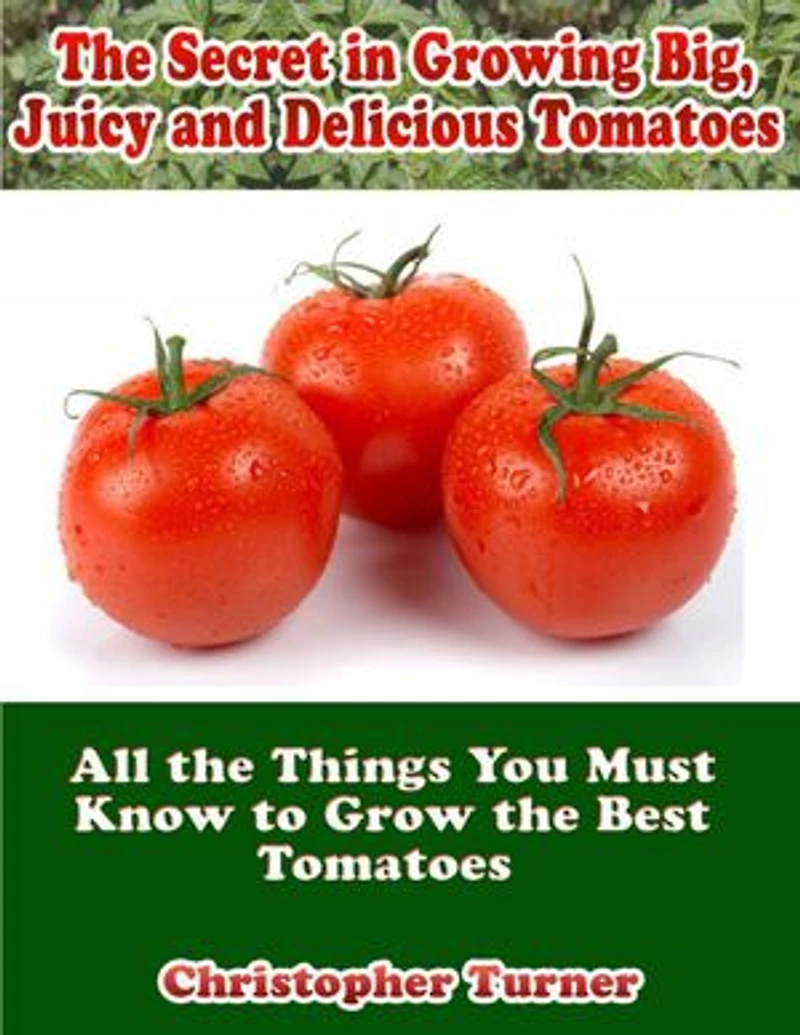 The Secret In Growing Big, Juicy and Delicious Tomatoes: All the Things You Must Know to Grow the Best Tomatoes