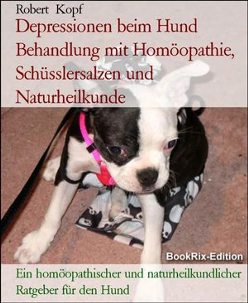 Depressionen beim Hund Behandlung mit Homöopathie, Schüsslersalzen und Naturheilkunde: Ein homöopathischer und naturheilkundlicher Ratgeber für den Hund