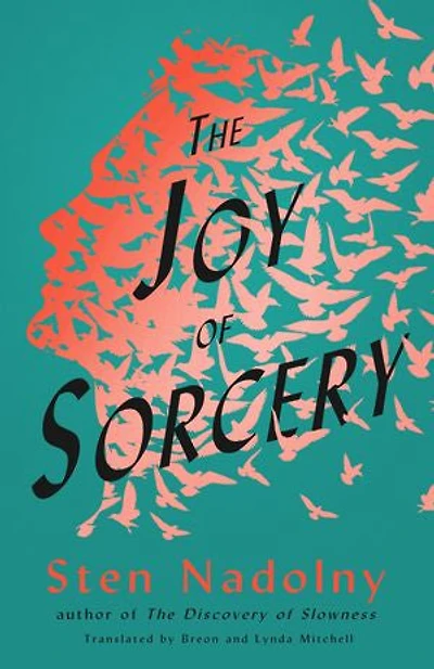 The Joy Of Sorcery