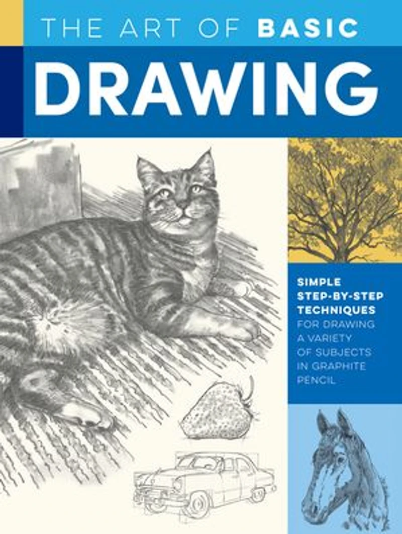 Art of Basic Drawing: Simple step-by-step techniques for drawing a variety subjects graphite pencil