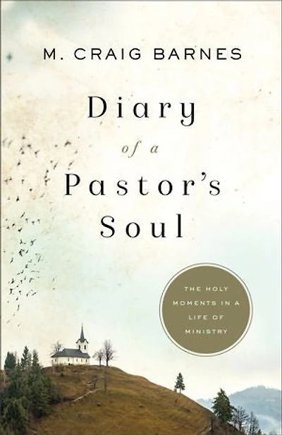 Diary of a Pastor's Soul: The Holy Moments Life Ministry