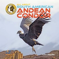 All About South American Andean Condors