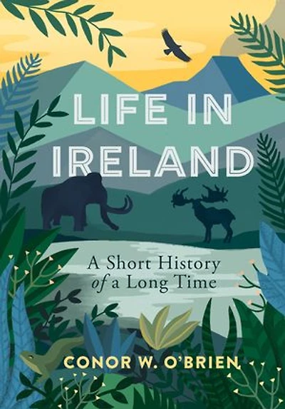 Life Ireland: a Short History of Long Time