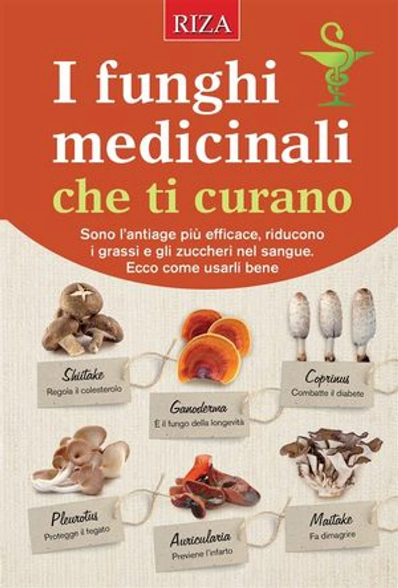 I funghi medicinali che ti curano