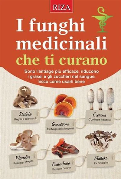 I funghi medicinali che ti curano
