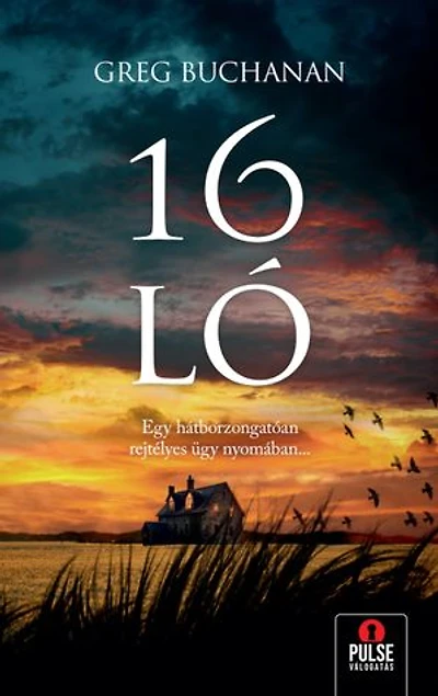 16 ló