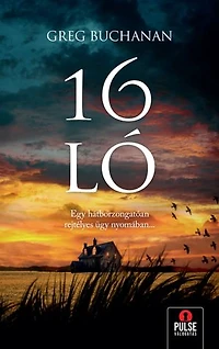 16 ló