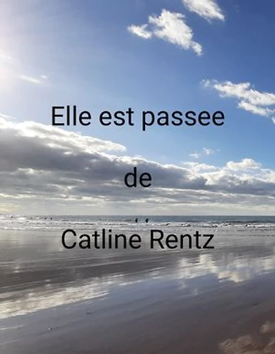 ELLE EST PASSEE: Bipolarité, deuil, sombrer et renaître inlassablement