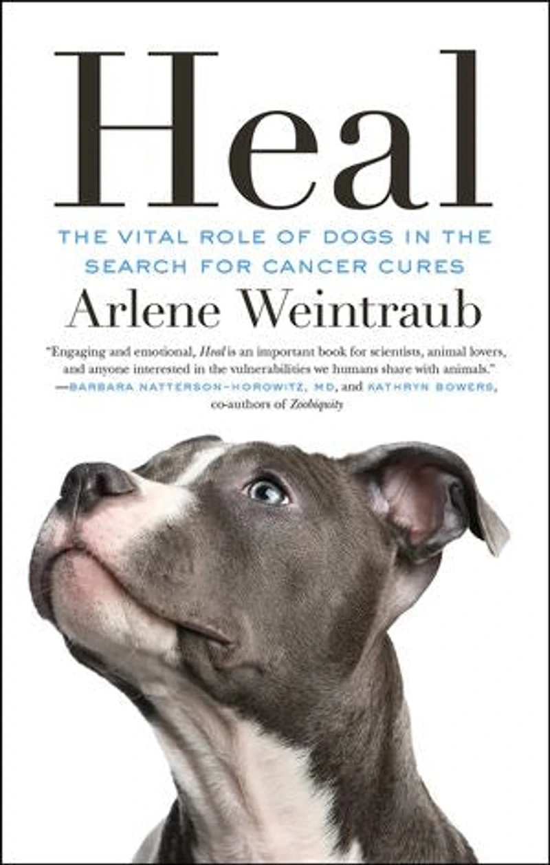 Heal: The Vital Role Of Dogs Search For Cancer Cures