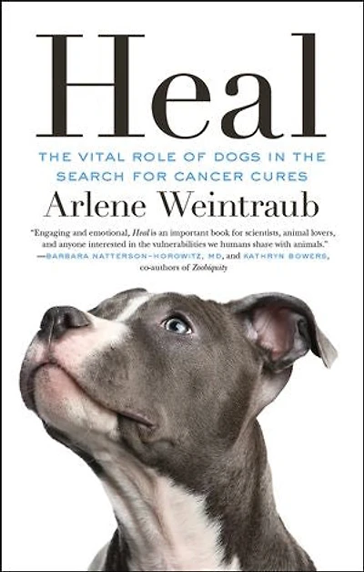 Heal: The Vital Role Of Dogs Search For Cancer Cures