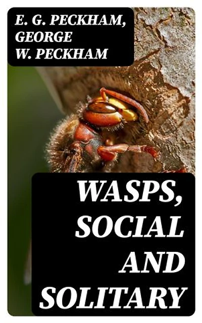 Wasps, Social and Solitary: Enriched edition.