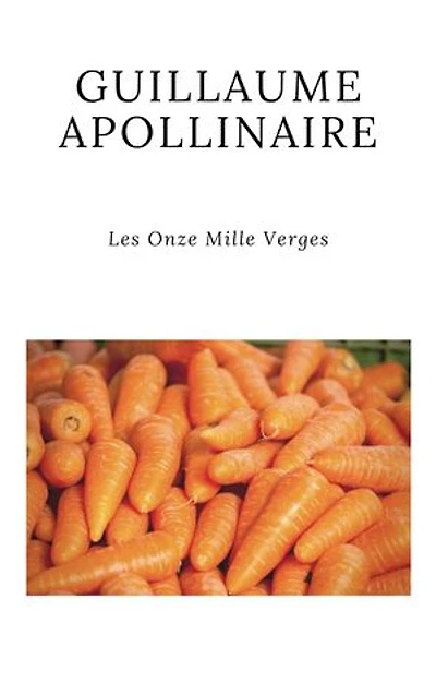 Les onze mille verges