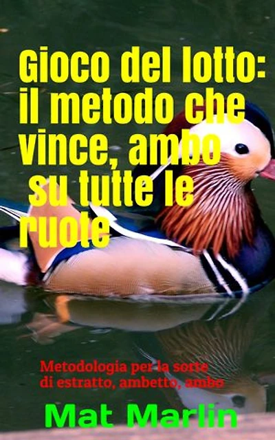 Gioco del lotto:il Metodo Che Vince: Ambo su tutte le ruote