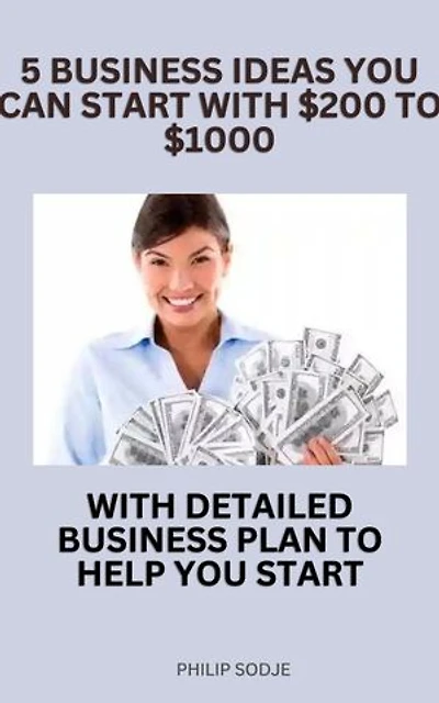 5 BUSINESS IDEAS YOU CAN START WITH $200 to $1000 With Detailed Business Plan To Help You Start: 5 Business Ideas That Can Change Your Life