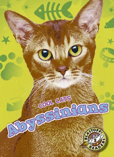 Abyssinians