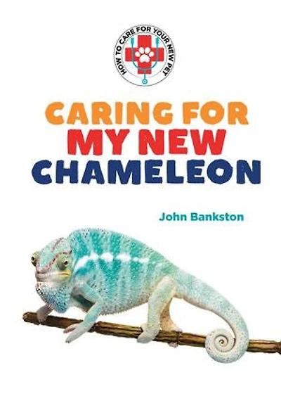 Caring for My New Chameleon