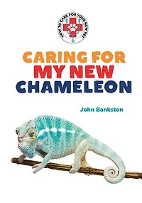 Caring for My New Chameleon