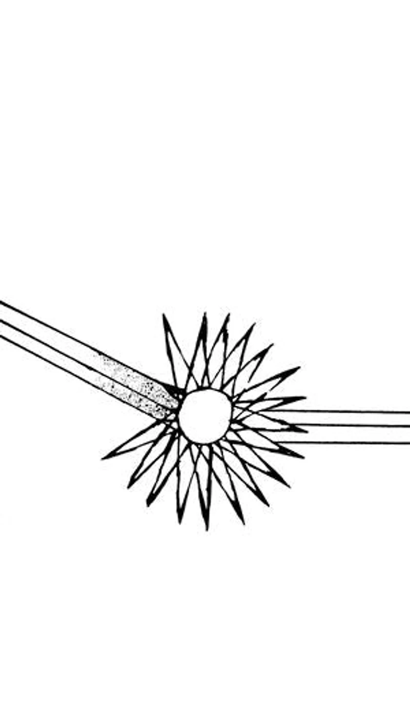 Travaux de poésie : Monde Vide