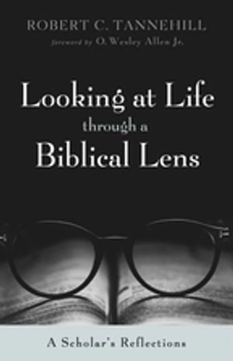 Looking at Life Through A Biblical Lens: Scholar's Reflections