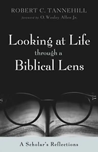 Looking at Life Through A Biblical Lens: Scholar's Reflections