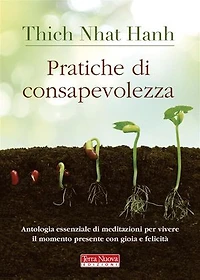 Pratiche di consapevolezza: Antologia essenziale di meditazioni per vivere il momento presente con gioia e felicità