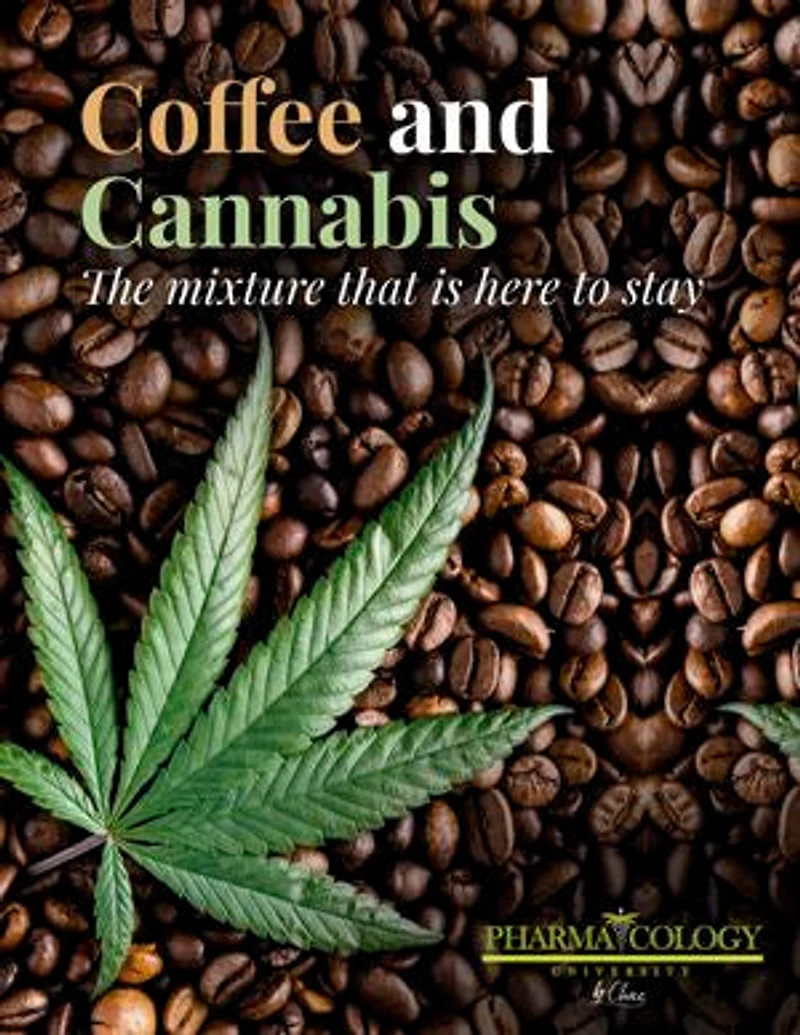 Coffee And Cannabis: The Mixture That Is Here To Stay