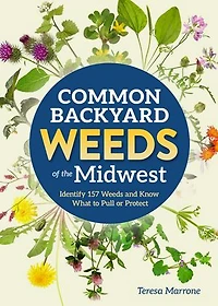 Common Backyard Weeds of the Midwest: Identify 157 and Know What to Pull or Protect