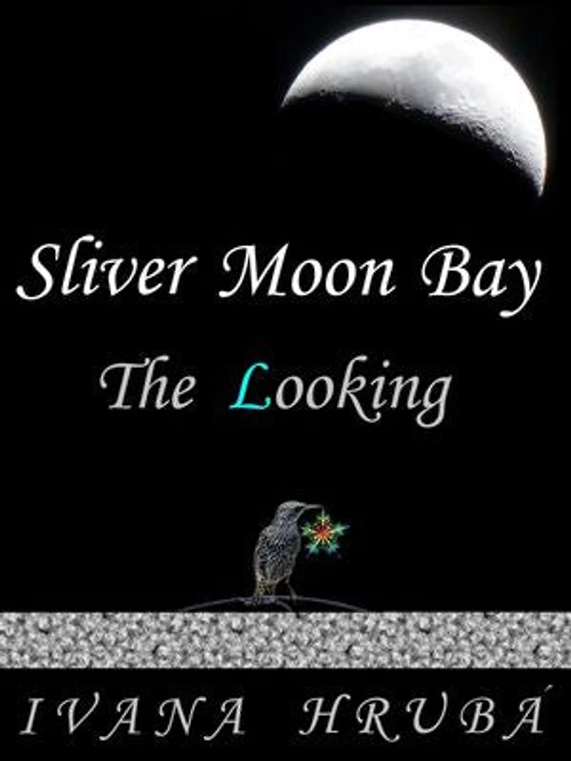 Sliver Moon Bay: The Looking