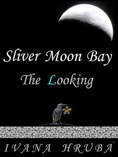 Sliver Moon Bay: The Looking