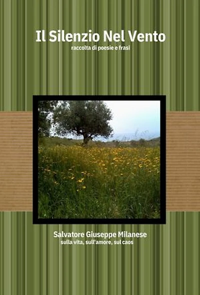 Il Silenzio nel Vento: Raccolta di poesie e frasi