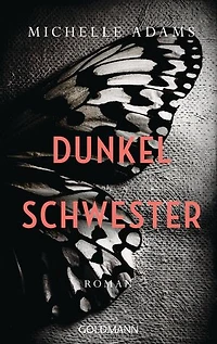Dunkelschwester: Roman