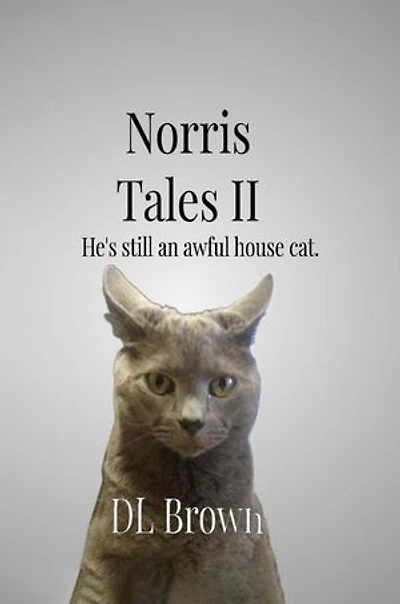 Norris Tales II: Still an Awful House Cat