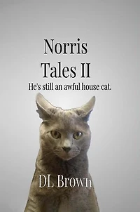 Norris Tales II: Still an Awful House Cat