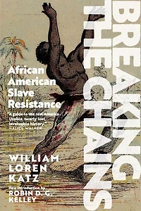 Breaking the Chains: African American Slave Resistance