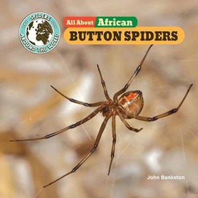 All About African Button Spiders