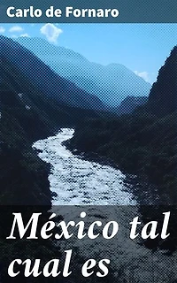 México tal cual es: Una mirada profunda a la sociedad mexicana del siglo XIX
