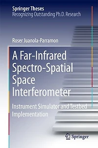 A Far-Infrared Spectro-Spatial Space Interferometer: Instrument Simulator and Testbed Implementation