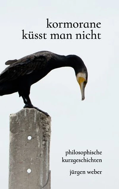 Kormorane küsst man nicht: Philosophische Kurzgeschichten