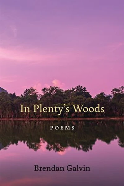 Plenty's Woods: Poems