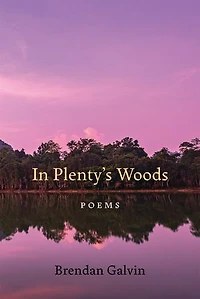 Plenty's Woods: Poems