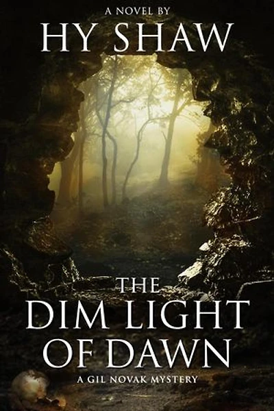 The Dim Light of Dawn: Gil Novak and Lili D'Amico Mysteries, #1