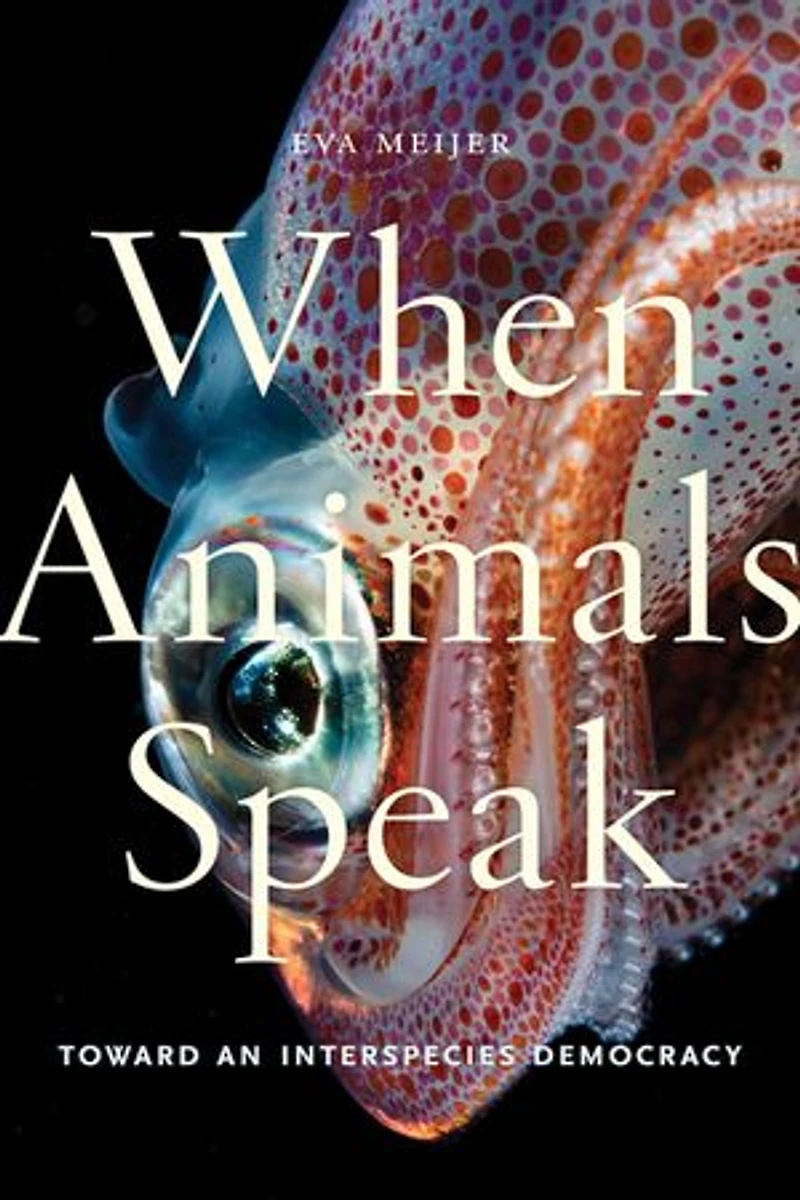 Conversations with William T. Vollmann
