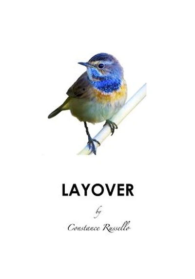 Layover: Encounters, #3