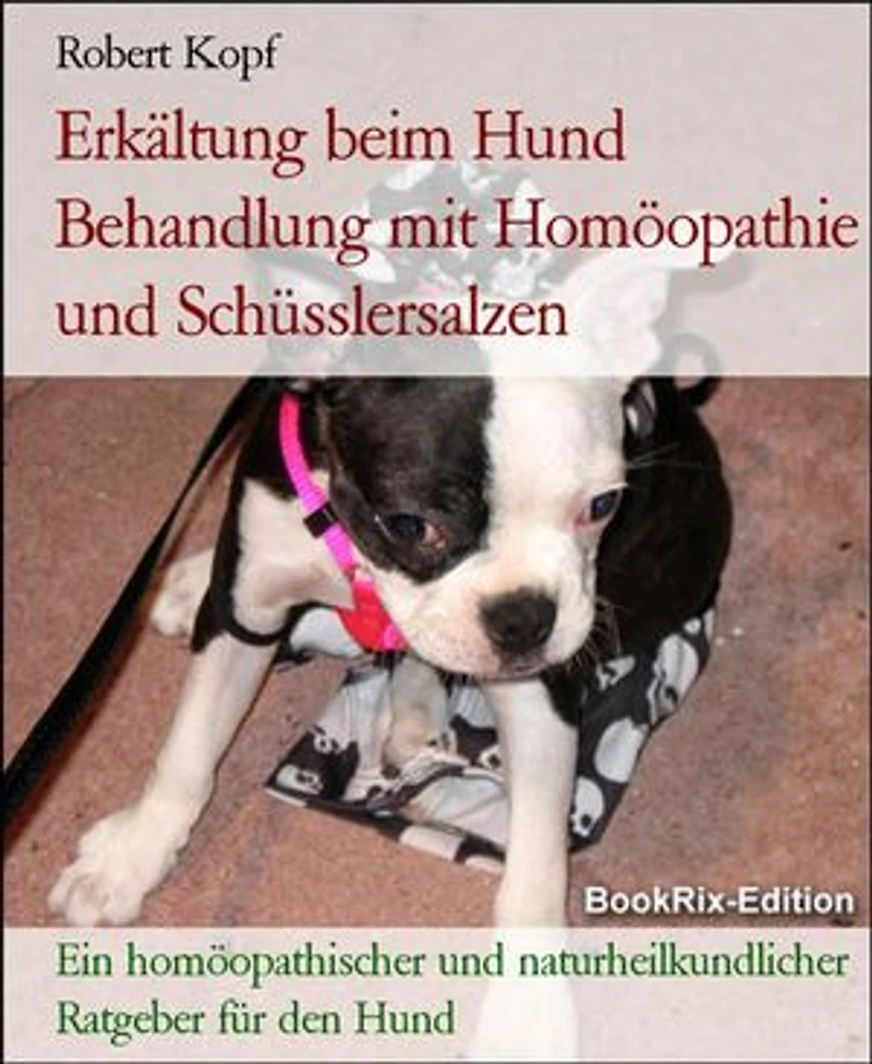 Erkältung beim Hund Behandlung mit Homöopathie und Schüsslersalzen: Ein homöopathischer und naturheilkundlicher Ratgeber für den Hund